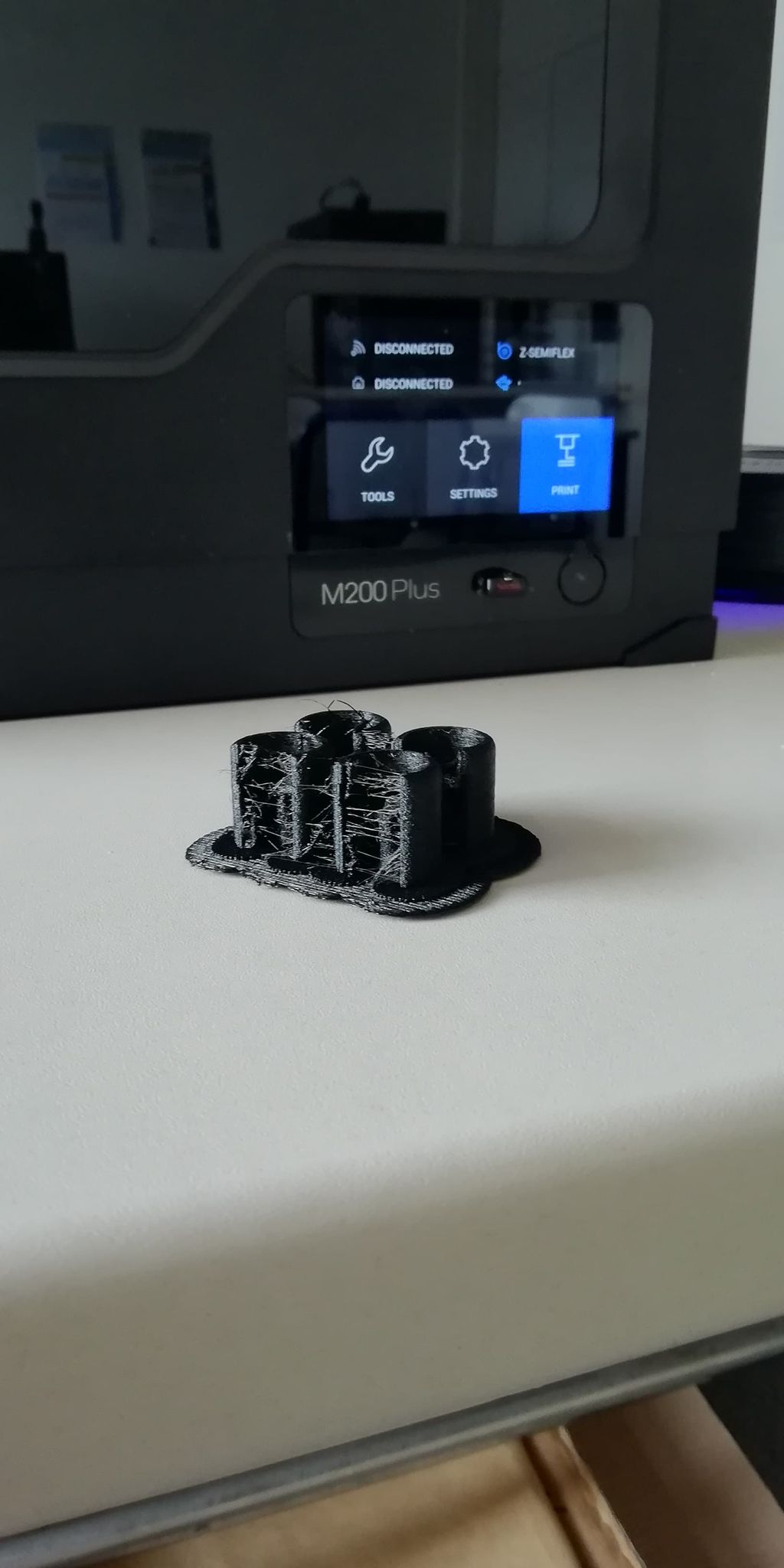 Picture of the 3D-printed result